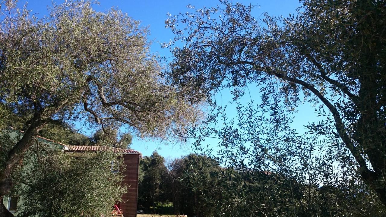 La Pampa Cargese Chambres D Hotes Buitenkant foto